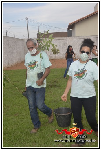 rolim de moura
